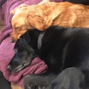 Meet your Posher, Scott